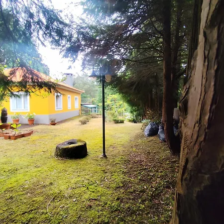 Casa de hóspedes Refugio Do Bosque
