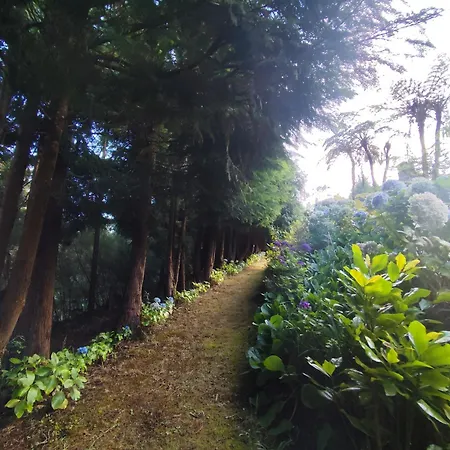 Casa de hóspedes Refugio Do Bosque Santo Antonio da Serra